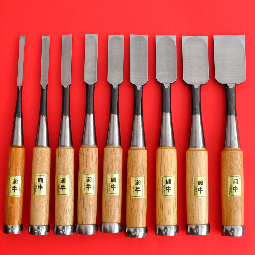 Back side Set 9 japanese Tōgyū Chisel wood oire nomi 6 9 15 36mm Made in Japan tool woodworking carpenter