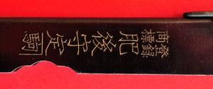 крупный план увеличить рукоятки Японский карманный нож NAGAO HIGONOKAMI 100 мм Японии Япония